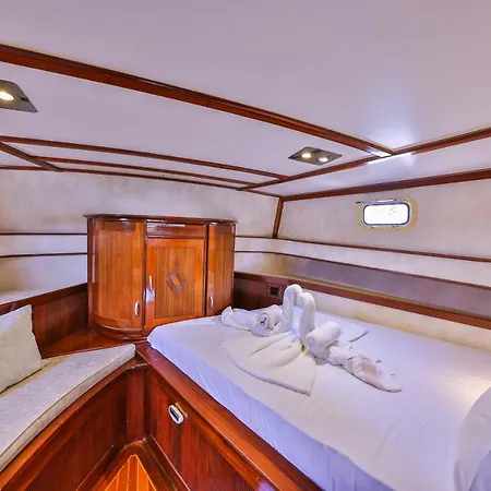  Blue Cruise *