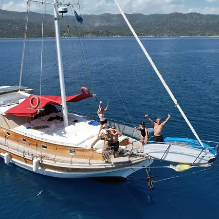 Blue Cruise 