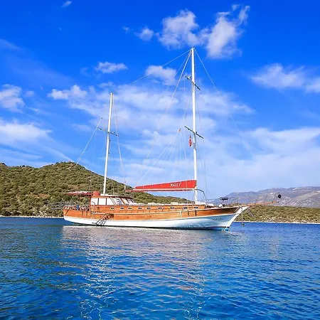 Blue Cruise 