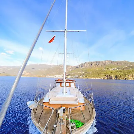  Blue Cruise